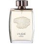 Lalique Pour Homme