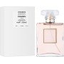 Chanel Coco Mademoiselle