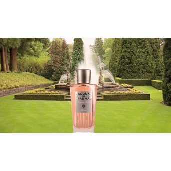 Acqua di Parma Acqua Nobile Rose