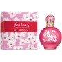 Britney Spears Fantasy in Bloom