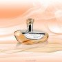 Geparlys Johan Elixir Sensual