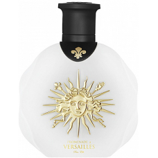 Chateau de Versailles Promenade A Versailles Pour Elle