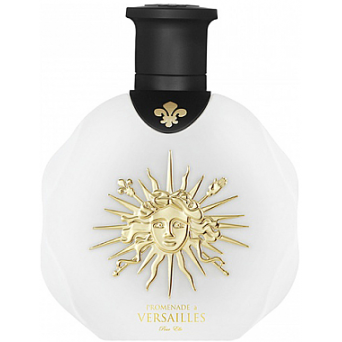Chateau de Versailles Promenade A Versailles Pour Elle