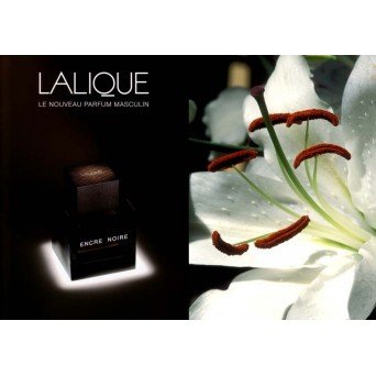 Lalique Encre Noire
