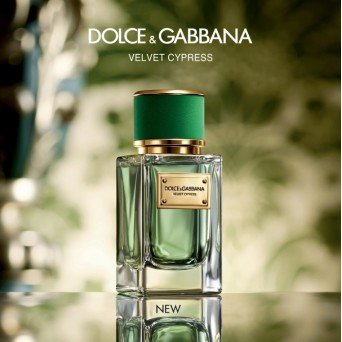 Dolce