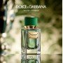 Dolce