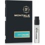 Montale Day Dreams
