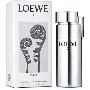 Loewe 7 Plata