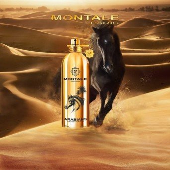 Montale Arabians