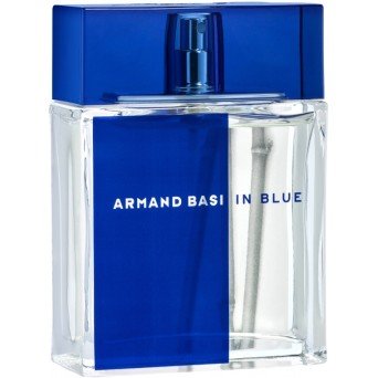 Armand Basi In Blue