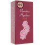 Christina Aguilera Touch of Seduction