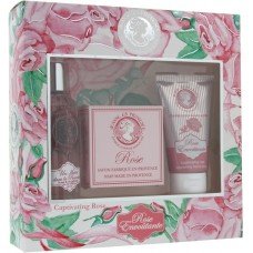 Jeanne en Provence Rose