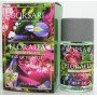 Borsari Floralia Iris Imperiale