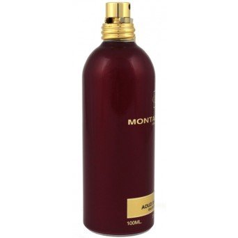 Montale Aoud Shiny