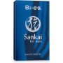 Bi-Es Sankai