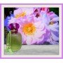 Parfums de Rosine Clair Matin