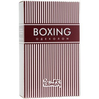 Dzintars Boxing