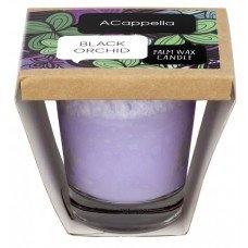 ACappella Black Orchid