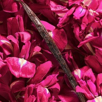 Lancome La Vie Est Belle Intensement
