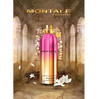 Montale Aoud Jasmine