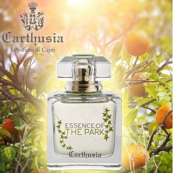 Carthusia Essence Of The Park