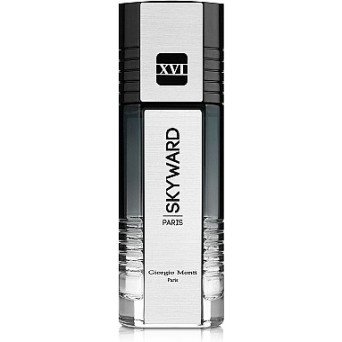 Giorgio Monti Skyward XVI Silver