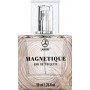 Lambre Magnetique