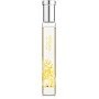 Adopt Flowers & Romanticism Fleur de Mimosa