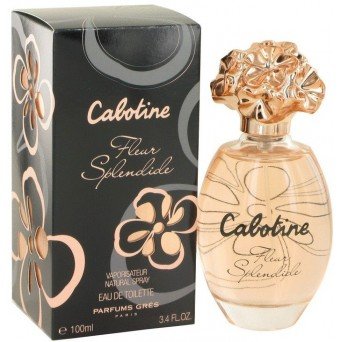 Gres Cabotine Fleur Splendide