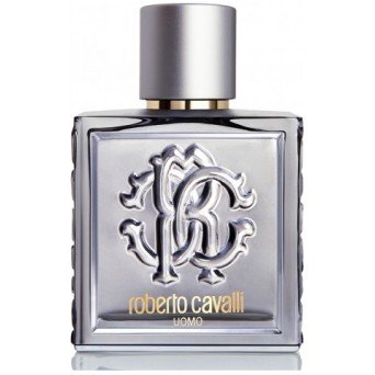 Roberto Cavalli Uomo Silver Essence