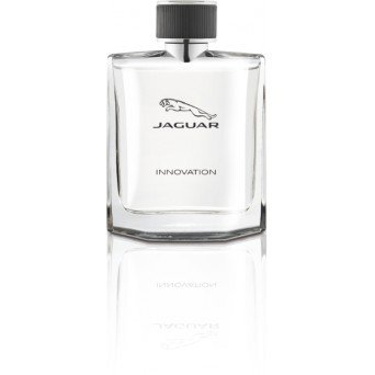 Jaguar Innovation