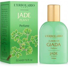 L'Erbolario Albero di Giada Jade Plant