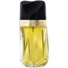 Estee Lauder Knowing