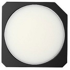 Jo Malone Basil & Neroli