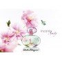 Salvatore Ferragamo Incanto Amity