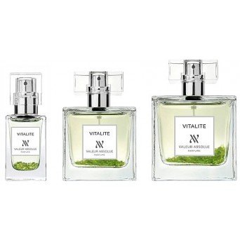 Valeur Absolue Vitalite