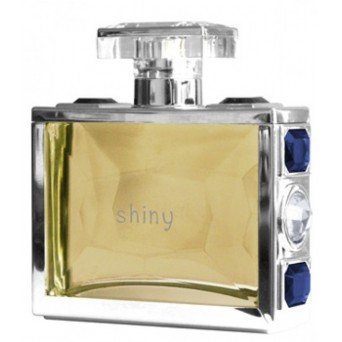Giorgio Monti Shiny Men