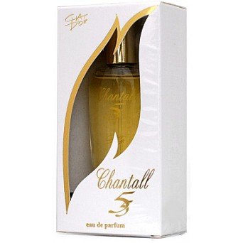 Chat D'or Chantall 5