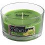 Ароматична свічка у склі "Citronella Garden Basilic", 62/106 мм
