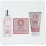 Jeanne en Provence Rose