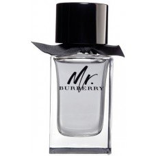 Burberry Mr. Burberry