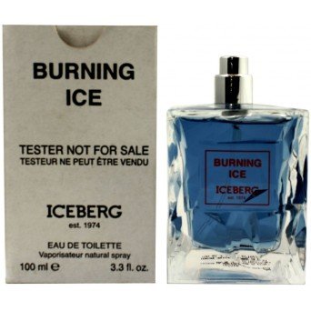 Iceberg Burning Ice