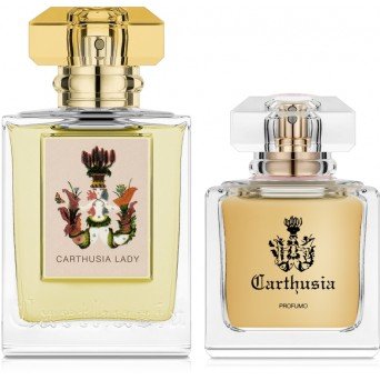 Carthusia Lady Carthusia