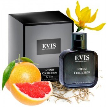 Evis Intense Collection №146