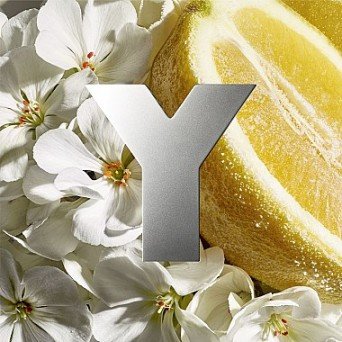 Yves Saint Laurent Y Eau Fraiche