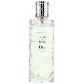 Dior Escale a Parati