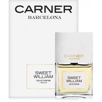 Carner Barcelona Sweet William