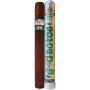 Cuba Cactus For Men