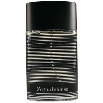 Ermenegildo Zegna Zegna Intenso